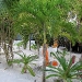 img_0138.jpg
