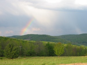 img_3262